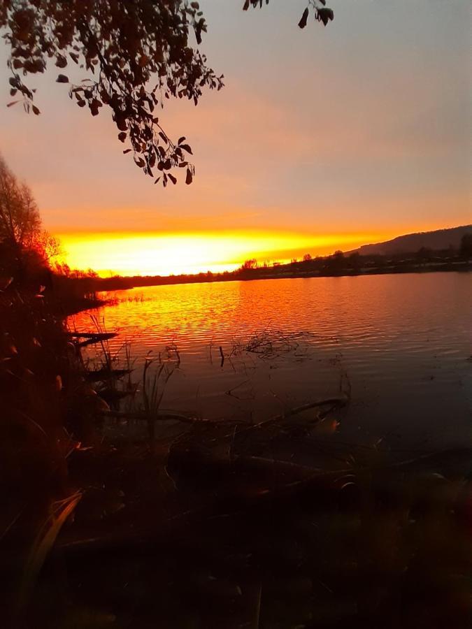 Ferienhaus Am Weserberglandsee Lauenforde Экстерьер фото